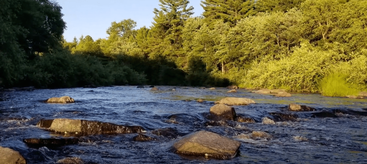 Black River State Forest Camping