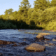 Black River State Forest Camping