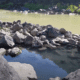 Black Rock Hot Springs