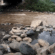 Hippy Dippy Hot Springs