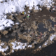 Penny Hot Springs