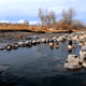 Renova Hot Springs