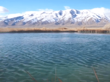 Ruby Valley Hot Springs