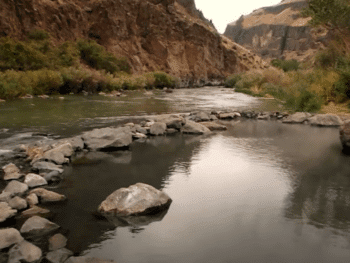 Snively Hot Springs