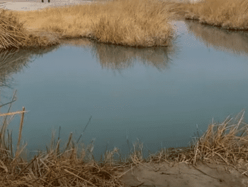 Tecopa Hot Spring