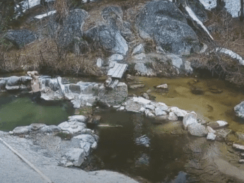 Trail Creek Hot Springs