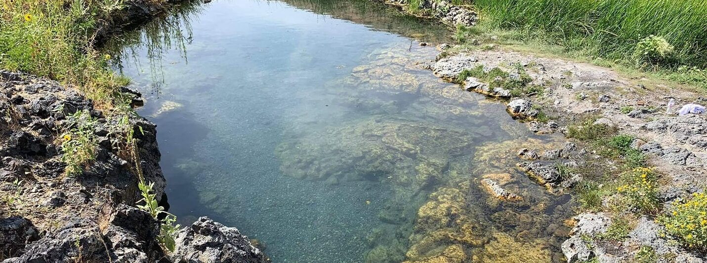 Wild Rose Hot Springs