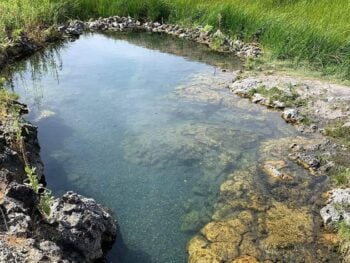 Wild Rose Hot Springs