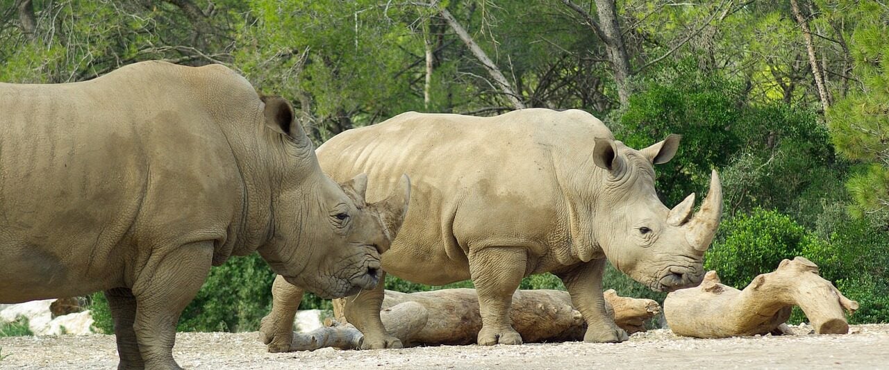 Zoos in New York