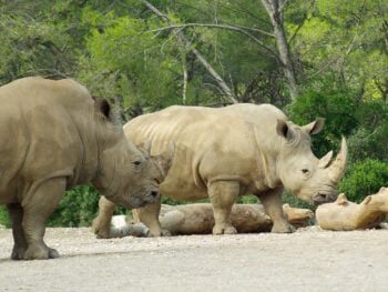 Zoos in New York