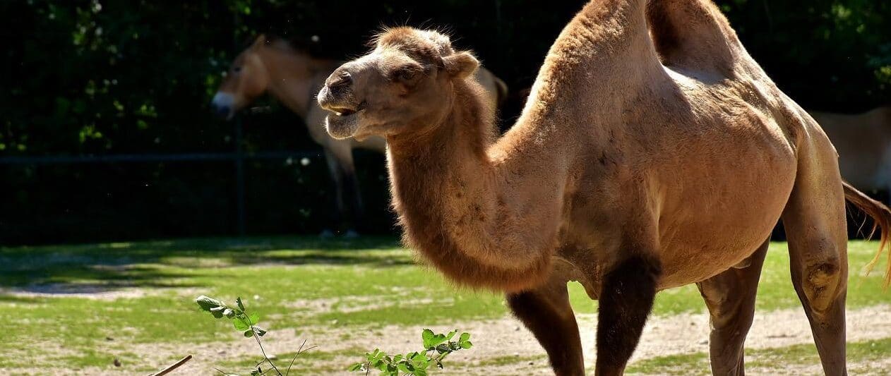 Zoos in Oregon