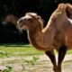 Zoos in Oregon