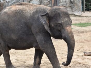 Zoos in Pennsylvania