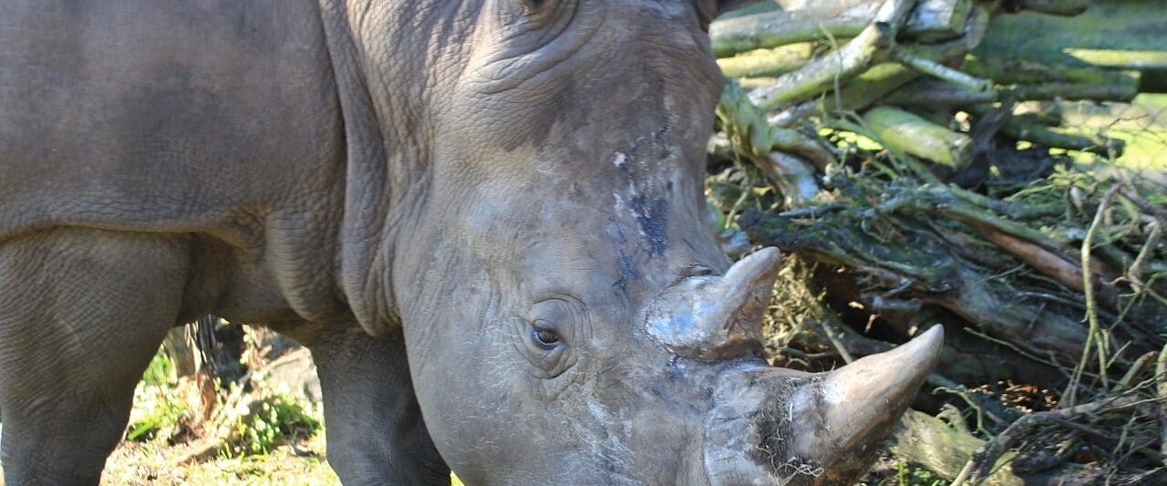 Zoos in Washington