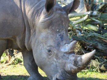 Zoos in Washington