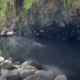 Bigelow Hot Springs
