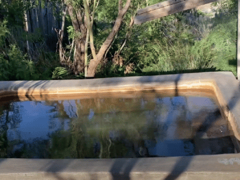 Faywood Hot Springs