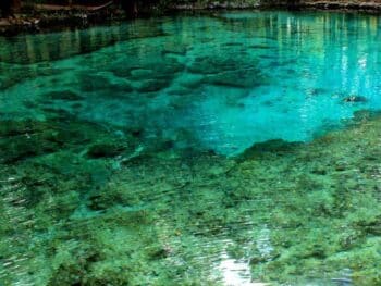 Hot Springs in Florida