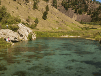 Nimrod Hot Springs