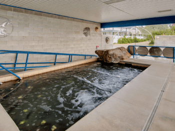 Roystone Hot Spring