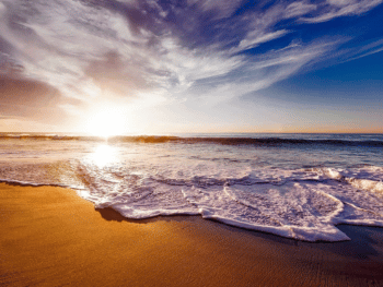 Things To Do in California
