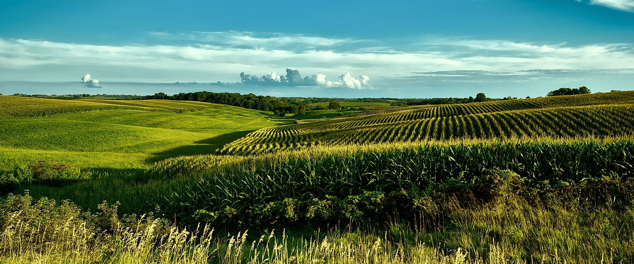 Things To Do in Iowa