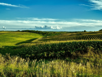 Things To Do in Iowa