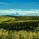 Things To Do in Iowa