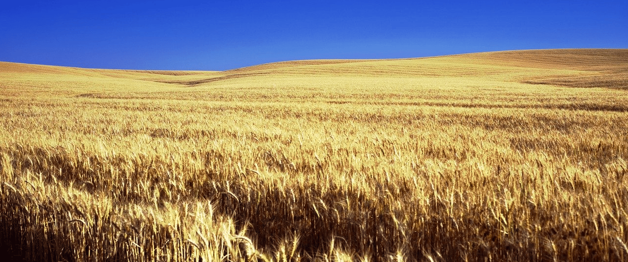 Things To Do in Kansas