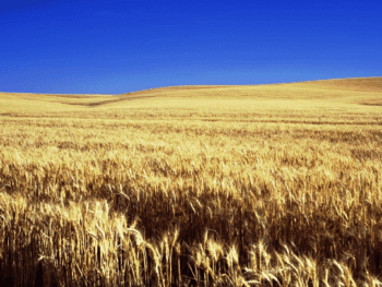 Things To Do in Kansas