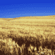 Things To Do in Kansas