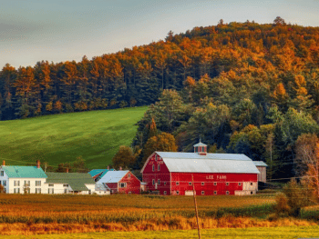 Things To Do in New Hampshire