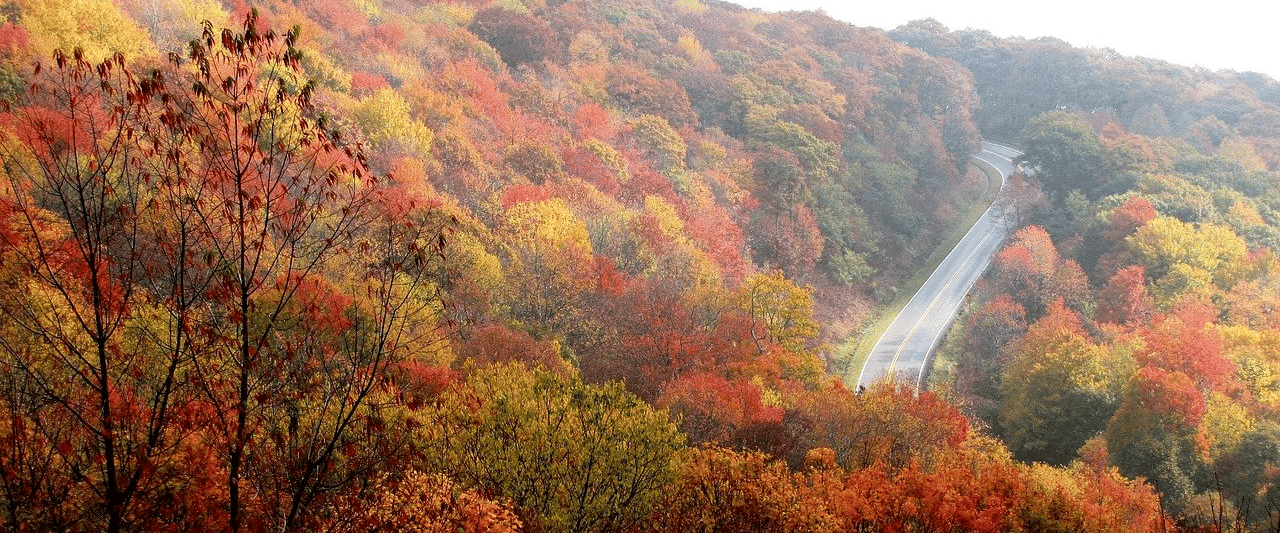 Things To Do in North Carolina