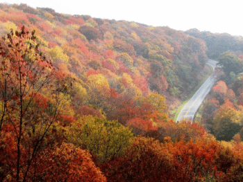 Things To Do in North Carolina