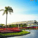 Things To Do in Orlando
