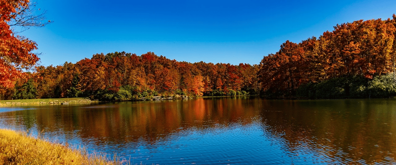 Things To Do in West Virginia