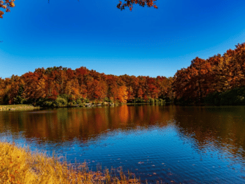 Things To Do in West Virginia