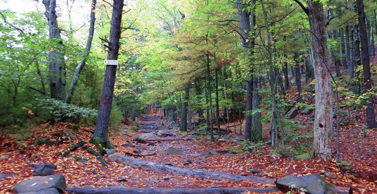 Hiking in Boston MA Trails and - Blue Hills Reservation
