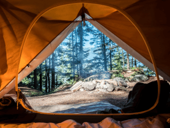 Camping in Detroit