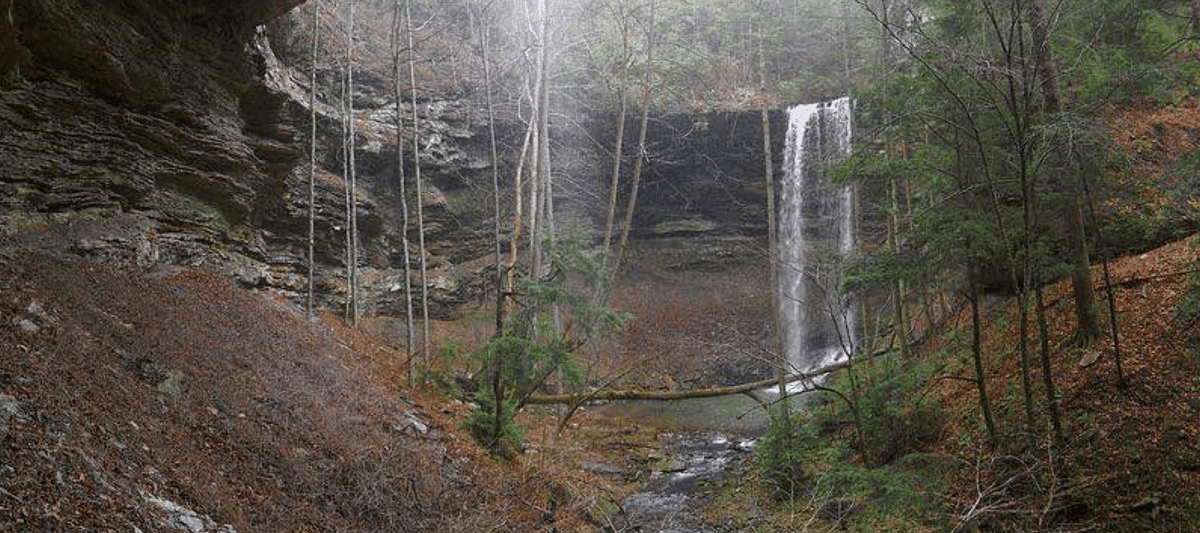 Deer Lick Falls