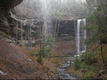 Deer Lick Falls