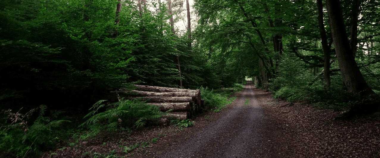 Hiking in Delaware