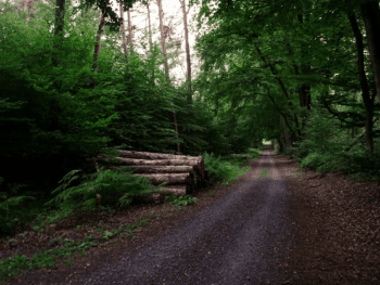 Hiking in Delaware