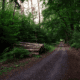 Hiking in Delaware