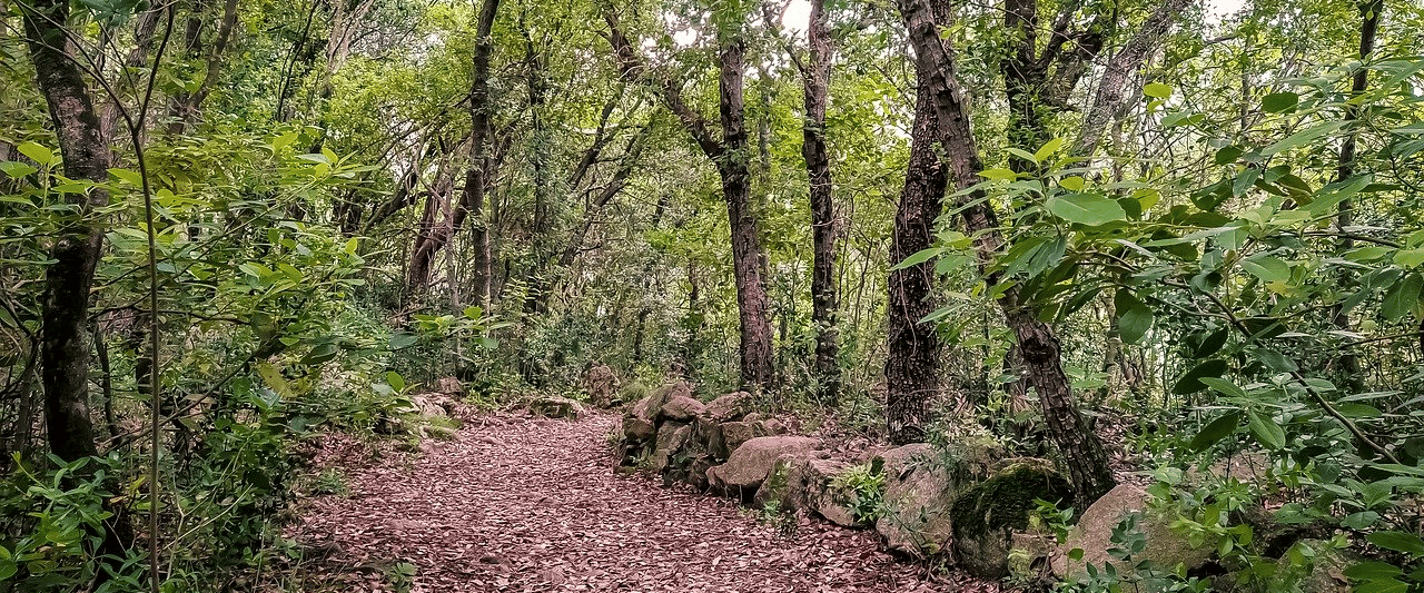 Hiking in Florida