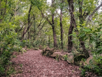 Hiking in Florida