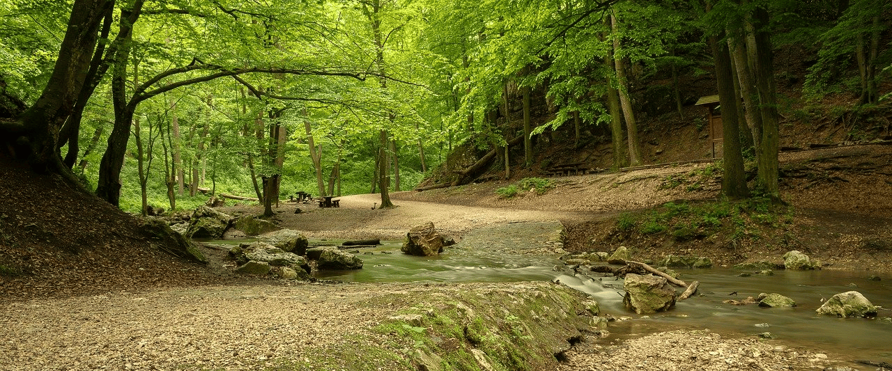 Hiking in Georgia