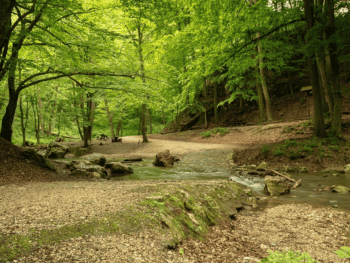 Hiking in Georgia