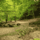 Hiking in Georgia