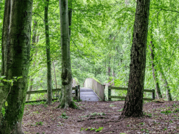 Hiking in Minnesota